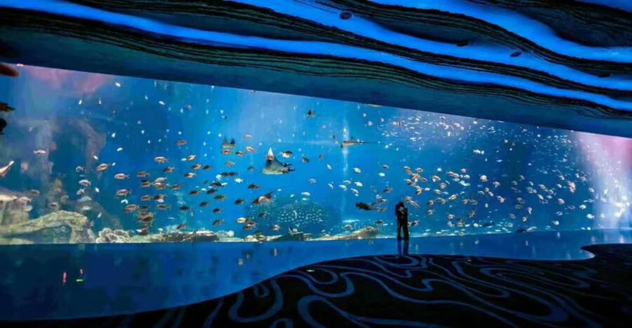 海洋館水族館生物養(yǎng)殖用水臭氧殺菌，滅藻