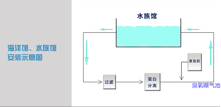 海洋館過濾，蛋分，臭氧，曝氣池.png